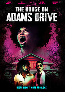 Box Art for The House on Adams Drive